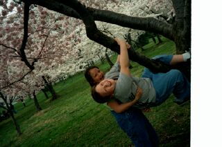 My Kids Playing On A Cherry Tree